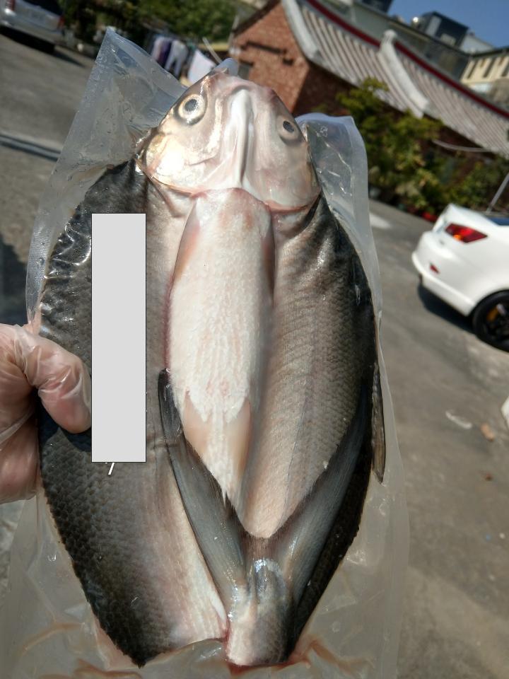 提供批發包包服務的專家漁家樂無毒養殖場