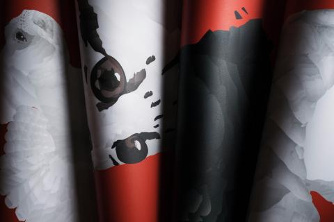 Coppins Well Studio 在科平斯工作室 - 個人作品－台灣特有動物視覺設計