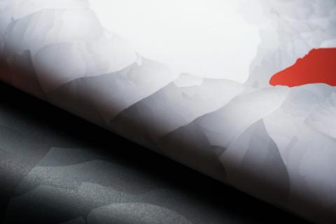 Coppins Well Studio 在科平斯工作室 - 個人作品－台灣特有動物視覺設計