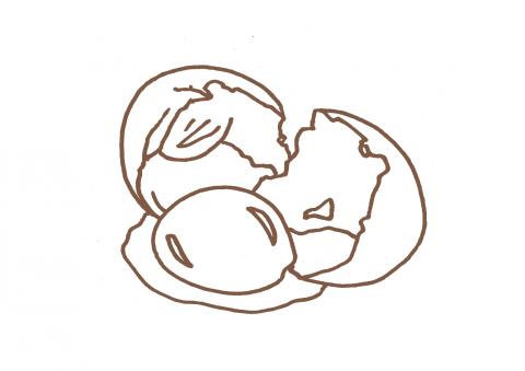 提供插畫家服務的專家Uschi Design