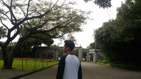 提供看板baseball服務的專家Mason Chen