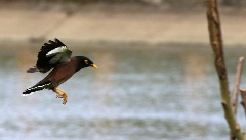 飛映像有限公司 - 