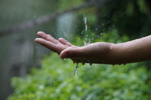 飛映像有限公司 - 