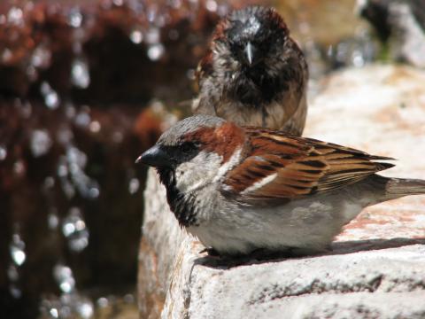 飛映像有限公司 - 