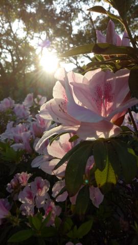 飛映像有限公司 - 