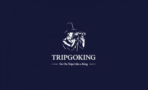 平行設計股份有限公司 - 高端旅行顧問logo設計