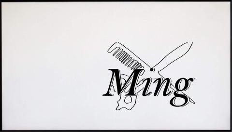 提供洗剪燙染服務的專家芳緹髮型