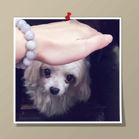 提供兼差服務的專家CherryLee