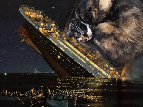 歐寧 - ps貓咪風景