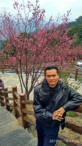 提供刮痧器具服務的專家林錦亮