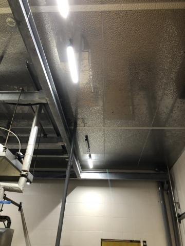 鐳森設計工程有限公司(原水立方興業有限公司) - 台南大成冷凍廠