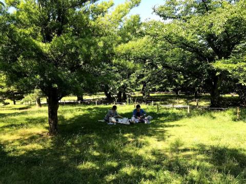 Sfsf整合設計 - 攝影比賽
2019-02
https://pse.is/EWK2Z
https://picsee.co/?lang=zh-tw