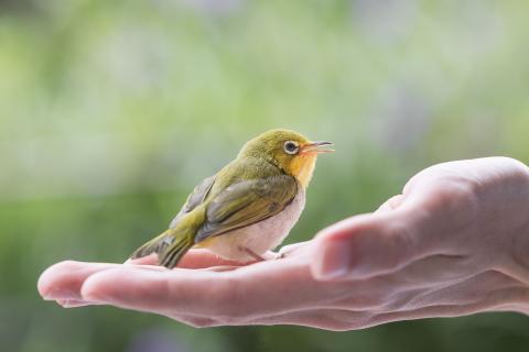 JKX4.STUDIO - 寵物攝影