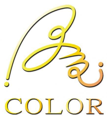 提供pchome音響服務的專家原色廣告工作室/盧先生