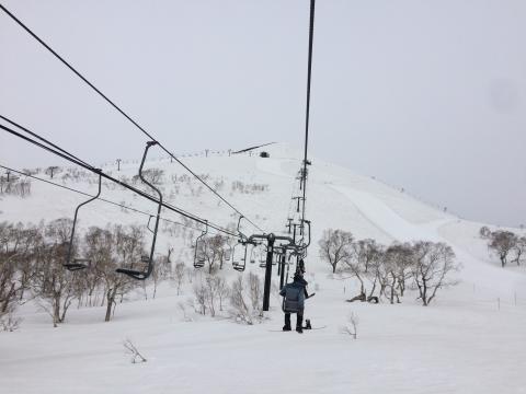 提供市場研究服務的專家Amy Chen