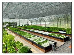 竣瑀節能實業有限公司 - 基隆海事學校漁菜共生一期施工後