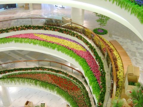 藝軒坊國際有限公司 - 造景（美麗華購物中心）