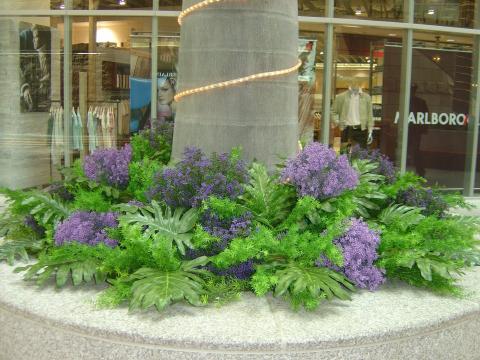 藝軒坊國際有限公司 - 造景（美麗華購物中心）