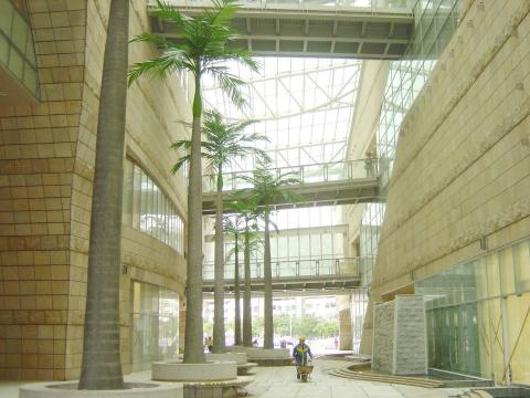 藝軒坊國際有限公司 - 椰子樹（美麗華購物中心）