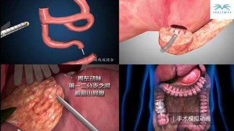 空島信息科技 - 醫療手術模擬