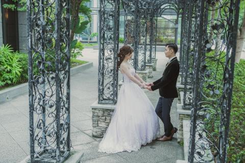 ZY  STUDIO -  ZY  STUDIO -