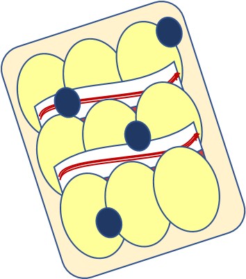  Peter - 可能會製作一些小圖示於程式內使用