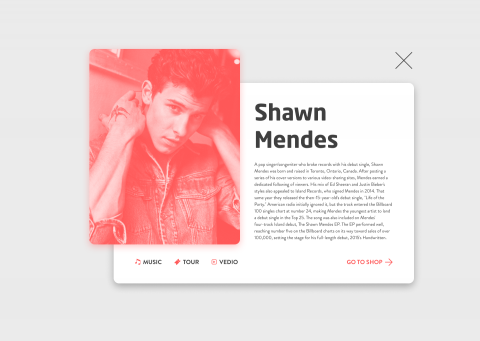 CT UI&UX Design - Singer Profile Design