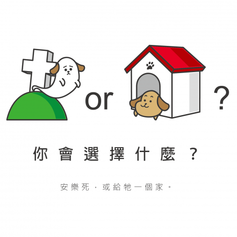 WANder 我的 - 公益海報細節