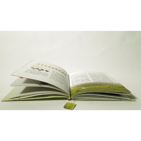 WANder 我的 - 書籍編排設計-細節