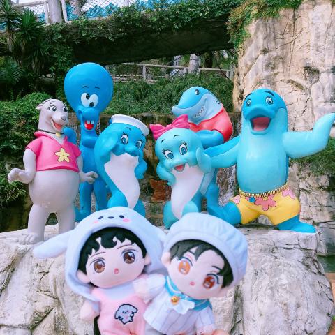 提供n3服務的專家林馨唯