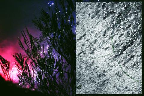 Wen design - 書頁設計