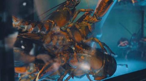 引上影像 - 知名美式餐廳Shrimp Daddy形象廣告拍攝