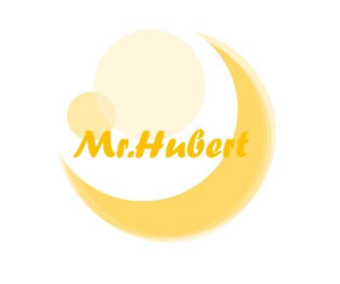 提供semseo分別服務的專家Mr.Hubert