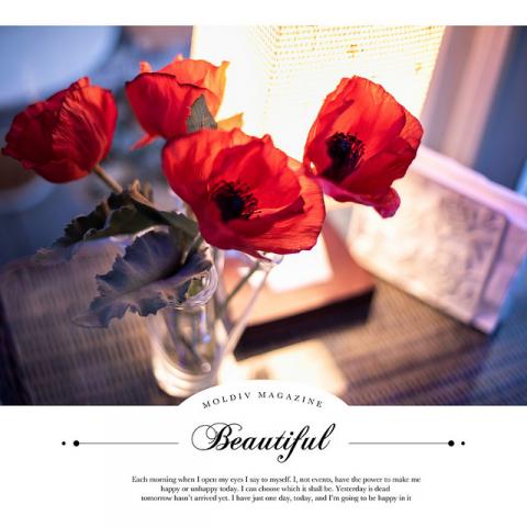 約瑟攝影個人工作室(張偉銘） - 楊三郎美術館形象攝影