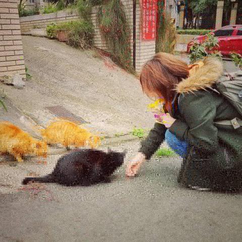 銘傳大學商業設計系大一學生 - 