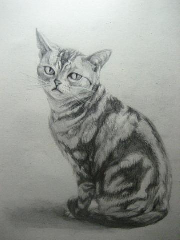 楊容 - 素描教學