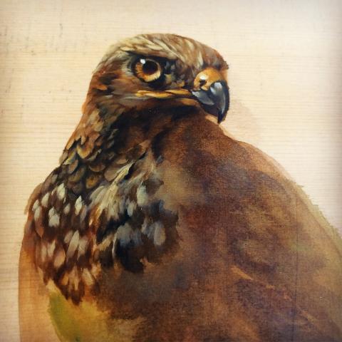 提供月子湯服務的專家湯婷如