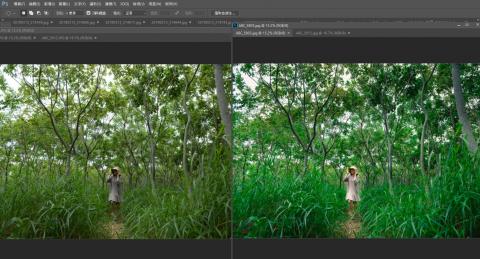 TiNg DeSign - 調色後讓照片變得更柔和更有故事性