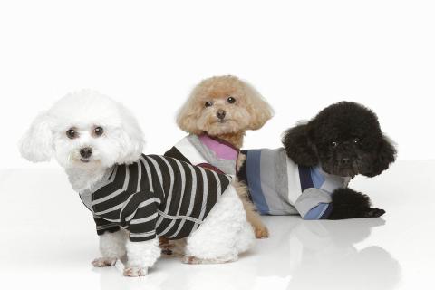 波光弄影造像工作室 - 請看網頁www.wave-light.com