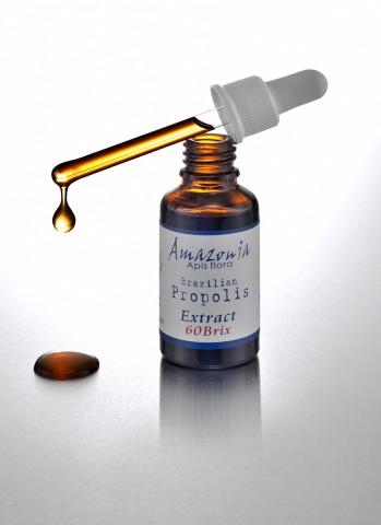 波光弄影造像工作室 - 請看網頁www.wave-light.com