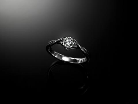 波光弄影造像工作室 - 請看網頁www.wave-light.com