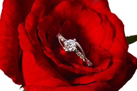 波光弄影造像工作室 - 請看網頁www.wave-light.com