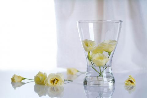 波光弄影造像工作室 - 請看網頁www.wave-light.com