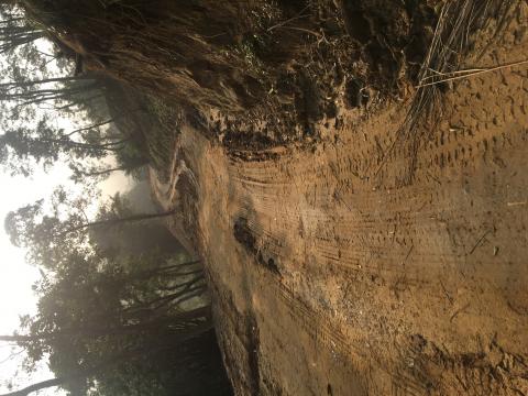 提供雨棚服務的專家郡騰工程有限公司