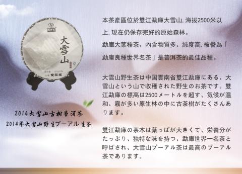 史中勝 - 幫忙企業做中日文的翻譯，提升日本客戶對普洱茶的了解及說明。