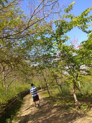 提供75意思服務的專家林惠鈴