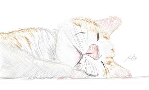 TRi Design - 電繪明信片