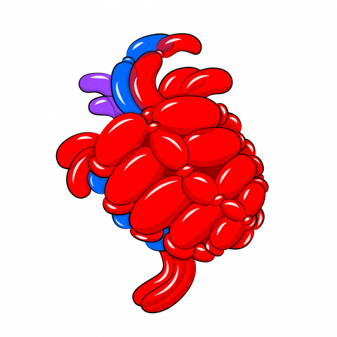 張皓珽 - 主題：年輕
#氣球心臟
#創作
#電腦繪圖
