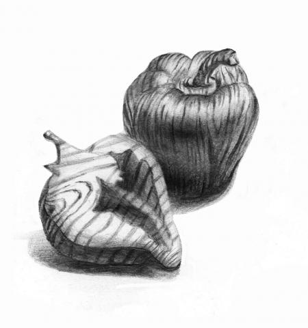 ＰZ Y studio - 臨摹˙素描