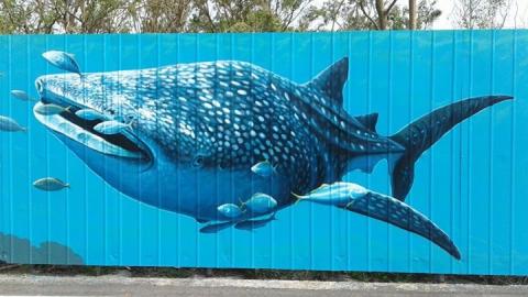 飛鴿牆壁彩繪 - 社區彩繪